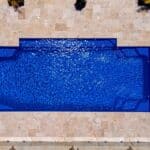 Vicepresident_Reef Blue